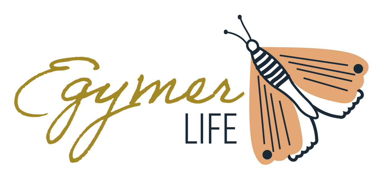thumbnail_Logo_Life-eGymer